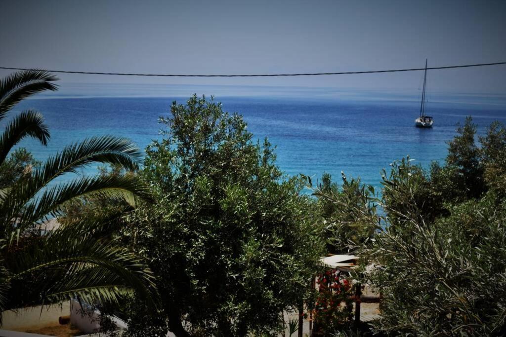 פטיטיריון Meltemi Appartment מראה חיצוני תמונה